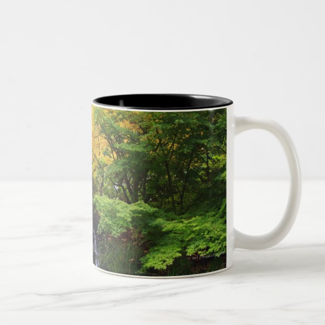Caneca De Café Em Dois Tons Cachoeira borrada da rocha, árvores verdes & (Direita)