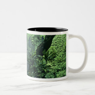 Caneca De Café Em Dois Tons Cachoeira Hanakapiai ao longo da Costa Na Pali, Ka