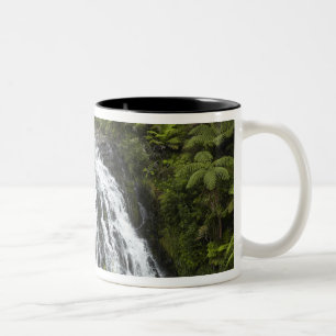 Caneca De Café Em Dois Tons Cachoeira Owharoa, Karangahake Gorge, perto de Pae