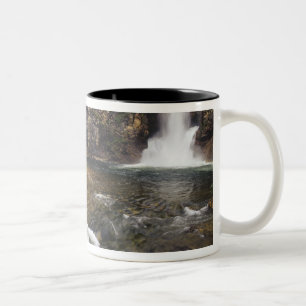 Caneca De Café Em Dois Tons Cachoeira Running Eagle também conhecida como Tric