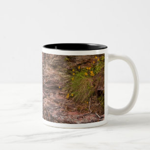 Caneca De Café Em Dois Tons Cachoeira St Mary no Parque Nacional Glacier em