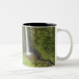 Caneca De Café Em Dois Tons Cachoeiras Akaka, Costa de Hamakua, Ilha do Havaí,