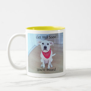 Caneca De Café Em Dois Tons Cachorro Bonito Cachorro Molhado Rosto Covinho Fic