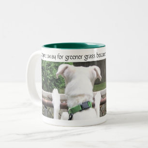 Caneca De Café Em Dois Tons Cachorro Branco Bonito Olhando para a grama de out