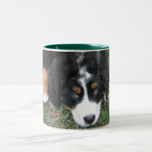 Caneca De Café Em Dois Tons Cachorro da Montanha Bernese