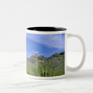Caneca De Café Em Dois Tons Cacto do deserto no Monumento Nacional Organ Pipe,