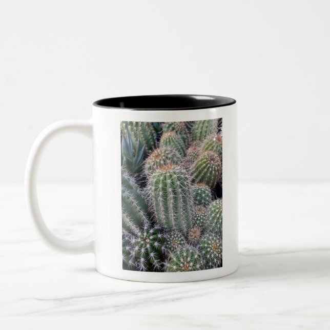 Caneca De Café Em Dois Tons Cactus (Esquerda)