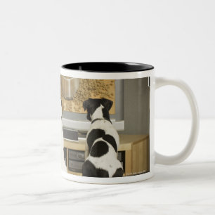 Caneca De Café Em Dois Tons Cães que olham o prato do cão com comida na tev