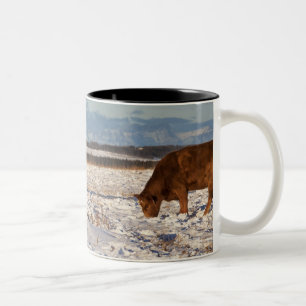 Caneca De Café Em Dois Tons calgary, Alberta, Canadá 2