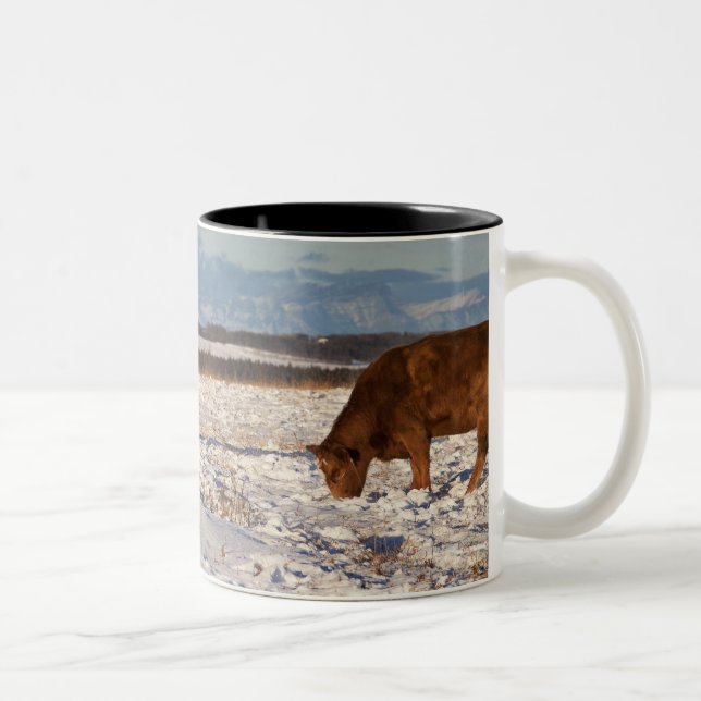 Caneca De Café Em Dois Tons calgary, Alberta, Canadá 2 (Direita)