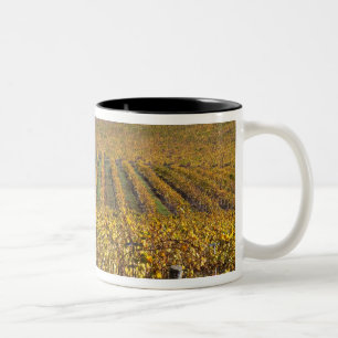 Caneca De Café Em Dois Tons Califórnia, San Luis Obispo County, Edna Valley