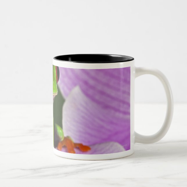 Caneca De Café Em Dois Tons Callidryas de Agalychnis (Direita)