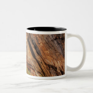 Caneca De Café Em Dois Tons Caminhando na Trilha dos Lagos Esmeralda no Zion N