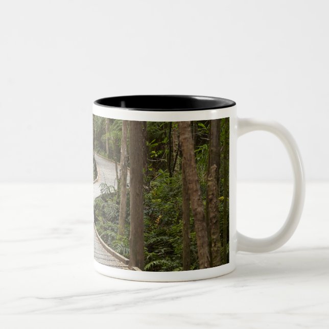 Caneca De Café Em Dois Tons Caminho de barco para Nelson Falls, Franklin - Gor (Direita)