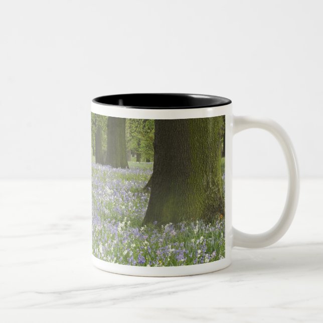 Caneca De Café Em Dois Tons Campainhas azuis e Carvalhos na Primavera, Little  (Direita)