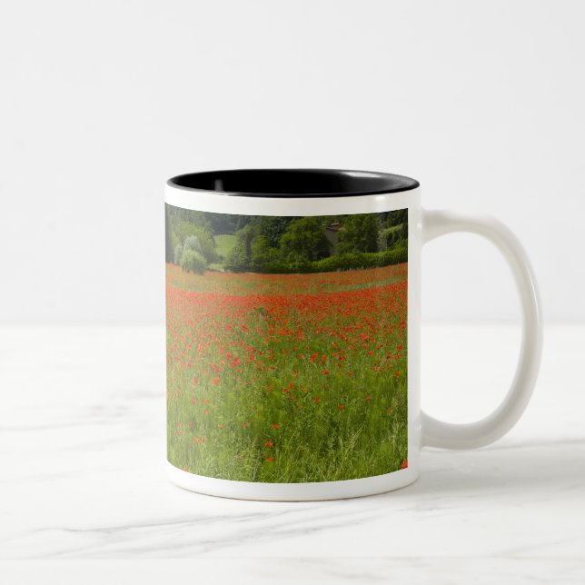 Caneca De Café Em Dois Tons Campo da papoila, Chiusi, Italia (Direita)