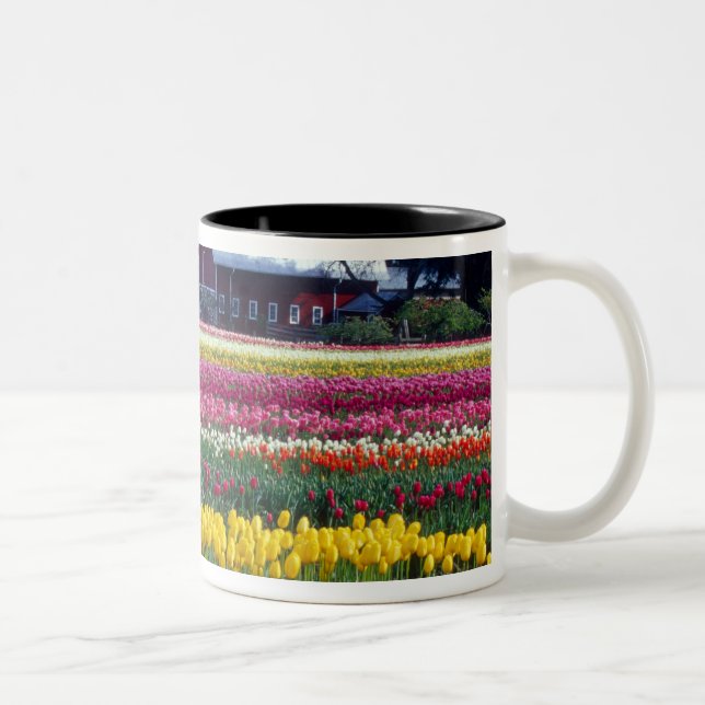 Caneca De Café Em Dois Tons Campo de exibição de tulipas (Direita)
