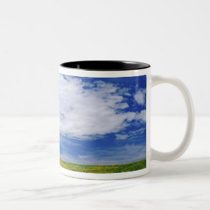 Caneca De Café Em Dois Tons Campo de flores de Canola ou Mostarda, Palouse