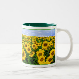 Caneca De Café Em Dois Tons Campo de girassol