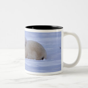 Caneca De Café Em Dois Tons Canadá
