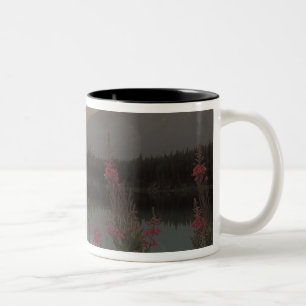 Caneca De Café Em Dois Tons Canadá, Alberta, Banff. Cenário do nascer do sol d