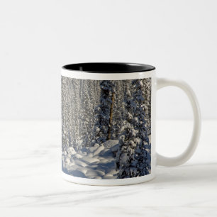 Caneca De Café Em Dois Tons Canadá, Alberta, Parque Nacional Jasper.