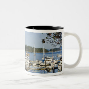 Caneca De Café Em Dois Tons Canadá, BC, Ilhas do Golfo, Ilha de Salt Primaver