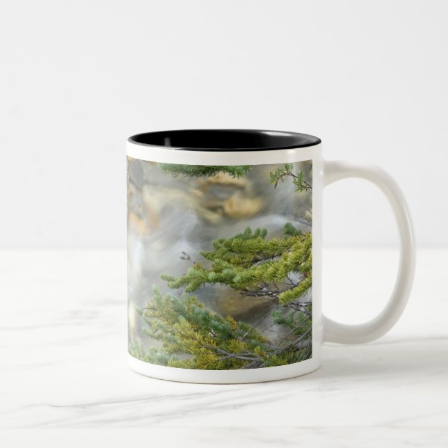 Caneca De Café Em Dois Tons Canadá, Colúmbia Britânica, Parque Nacional Yoho.4 (Direita)