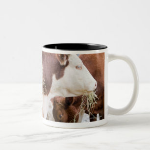 Caneca De Café Em Dois Tons Canadá, Columbia Britânica, Pemberton