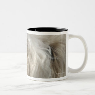 Caneca De Café Em Dois Tons Canadá, Columbia Britânica, Vancôver