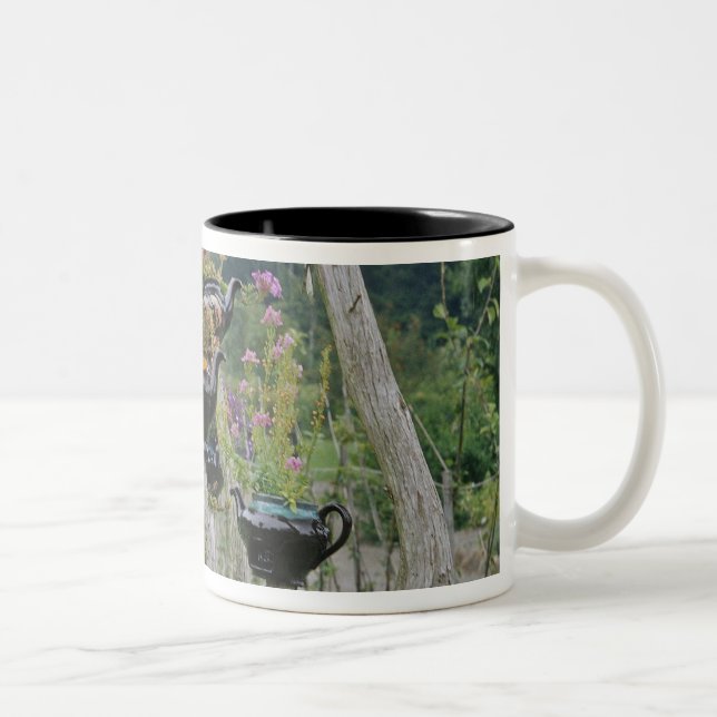 Caneca De Café Em Dois Tons Canadá, New Brunswick, St Andrews. Bules de chá (Direita)
