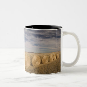 Caneca De Café Em Dois Tons Canadá, Saskatchewan, Craik: Fardos de feno / Outo