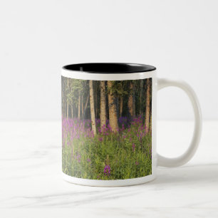 Caneca De Café Em Dois Tons Canadá, Yukon, área de Ross River, Cabana abandona