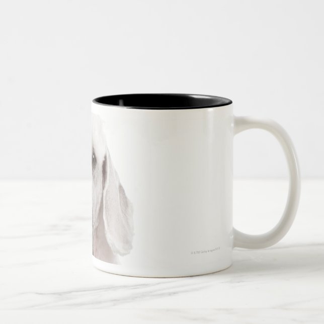 Caneca De Café Em Dois Tons Caniche (bebê de um ano) (Direita)