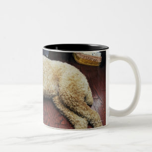 Caneca De Café Em Dois Tons Caniche padrão que dorme no assoalho