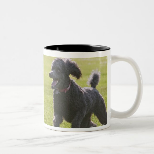 Caneca De Café Em Dois Tons Caniche que joga o frisbee (Direita)
