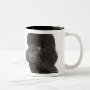 Caneca De Café Em Dois Tons Caniches que examinam-se