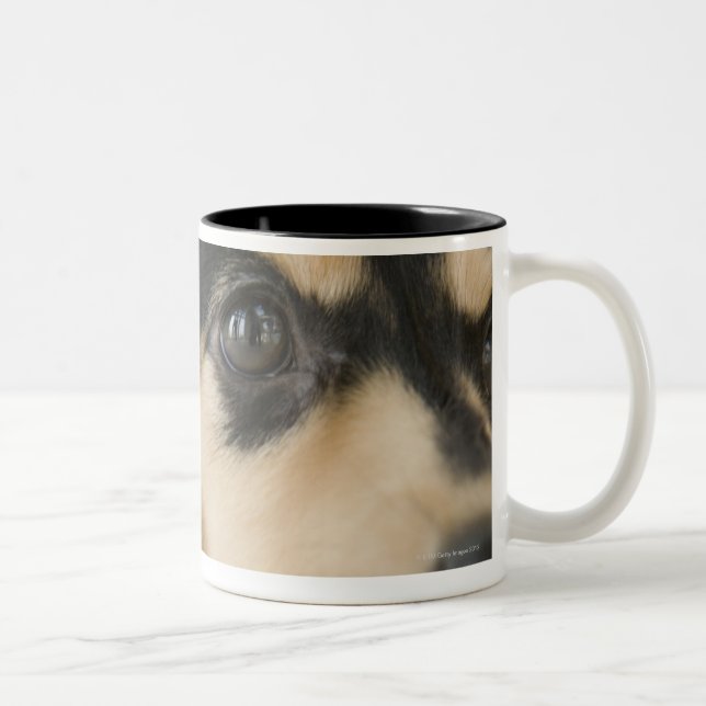 Caneca De Café Em Dois Tons Cão (Direita)