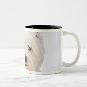 Caneca De Café Em Dois Tons Cão branco na roupa na neve
