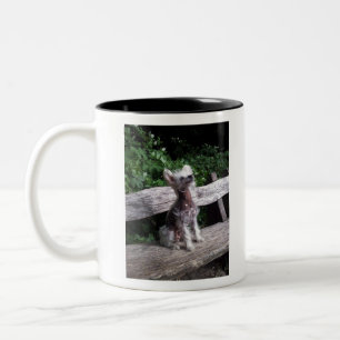 Caneca De Café Em Dois Tons Cão com crista chinês