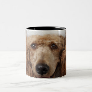 Caneca De Café Em Dois Tons Cão de caniche dourado que veste um traje branco