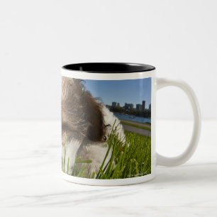 Caneca De Café Em Dois Tons Cão de filhote de cachorro bonito no parque,