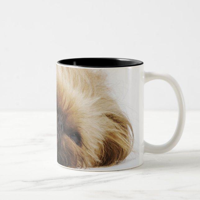 Caneca De Café Em Dois Tons Cão de Pekingese, fim acima (Direita)