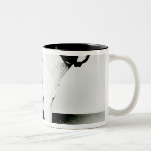 Caneca De Café Em Dois Tons Cão de St Bernard