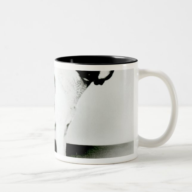 Caneca De Café Em Dois Tons Cão de St Bernard (Direita)