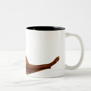 Caneca De Café Em Dois Tons Cão de Vizsla