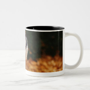 Caneca De Café Em Dois Tons Cão do golden retriever que urra no trajeto