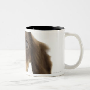 Caneca De Café Em Dois Tons Cão do Wiener (marrom) 2