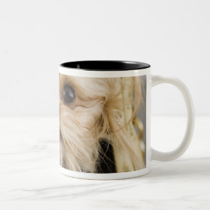 Caneca De Café Em Dois Tons Cão em uma bolsa