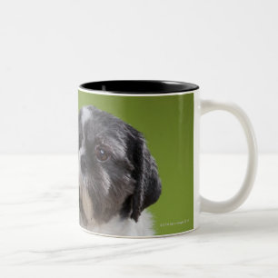 Caneca De Café Em Dois Tons Cão em uma coluna